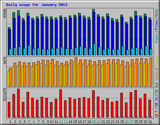 Daily usage for January 2013