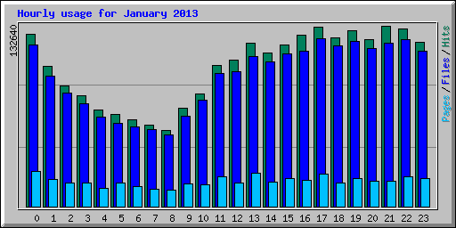 Hourly usage for January 2013