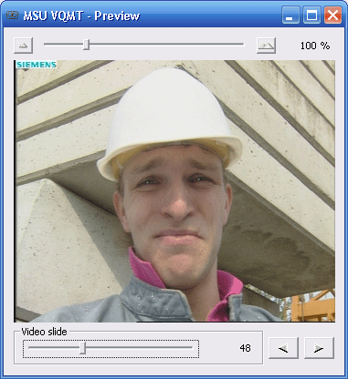 Preview window